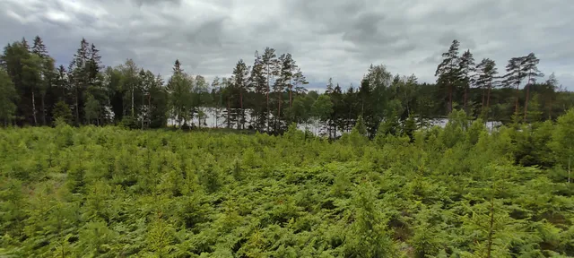 place image