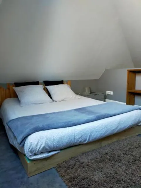 spéculoos et chicorée