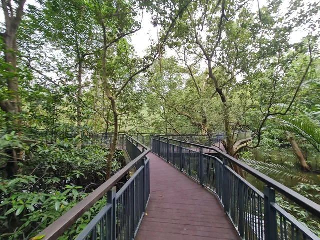 Sg Buloh Wetland Reserve