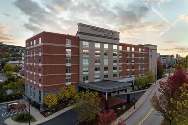 SpringHill Suites by Marriott Pittsburgh Southside Works