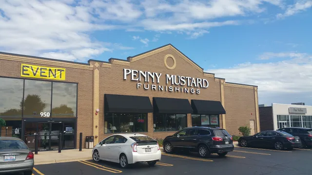 Penny Mustard Furnishings - Schaumburg