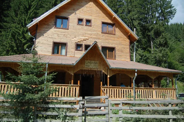 Cabana Ancuței