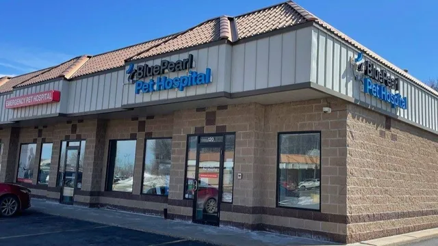 BluePearl Pet Hospital