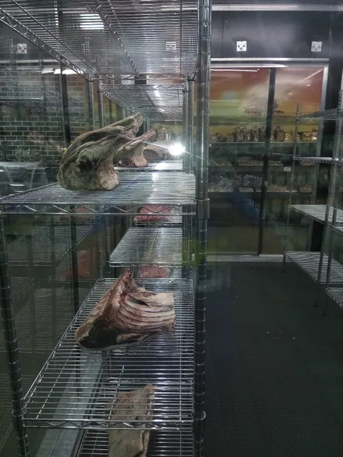 Abo Abbas Supermarket