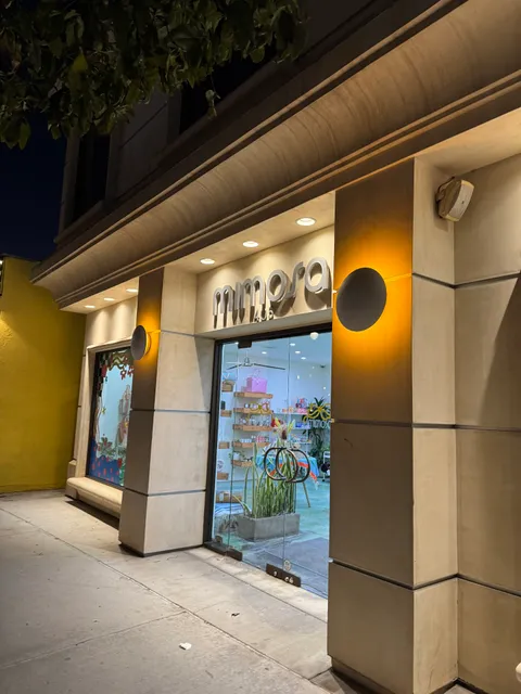 Mimosa Salon + Boutique