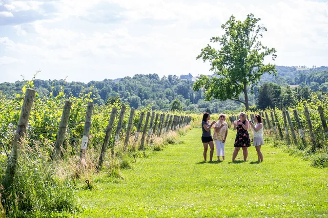 Tolino Vineyards and Winery