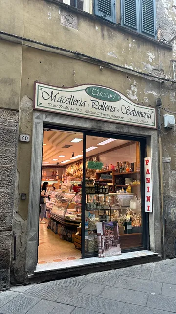 Tuccori Mariano & C. Snc