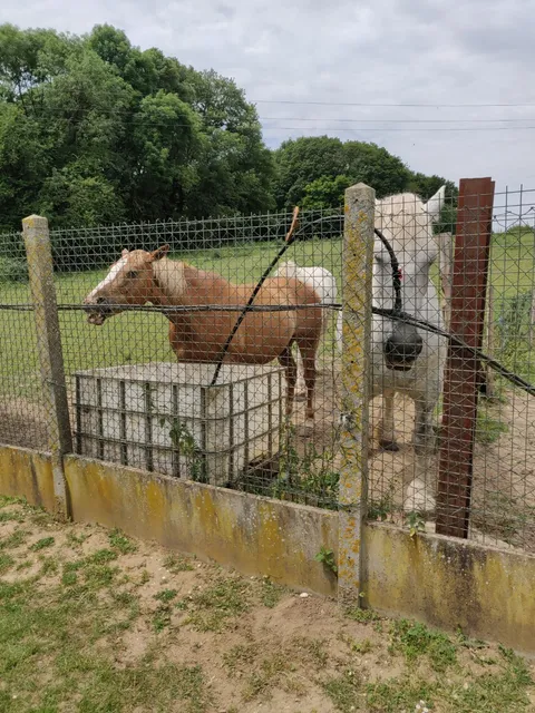 La ferme de Richemont