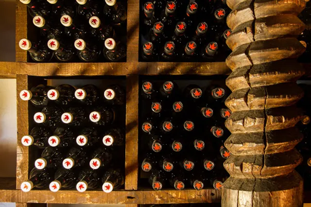 Restaurante Asador de Aranda | Asador de carne en Valencia