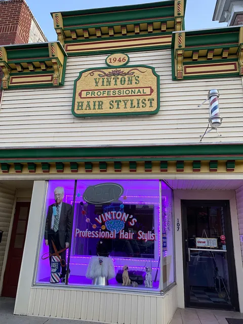 Vinton's Pro Hairstyling