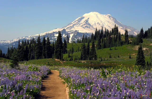 Visit Rainier