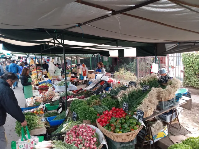 Feria Santa Petronila