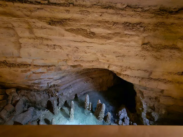 Forestville/Mystery Cave State Park