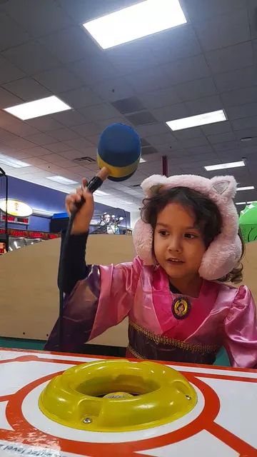 The Burlington Gallery