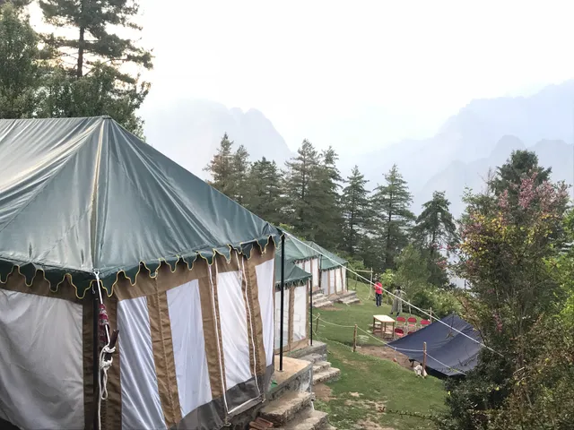 Auli Woods - luxury camping in Auli Himalayas!