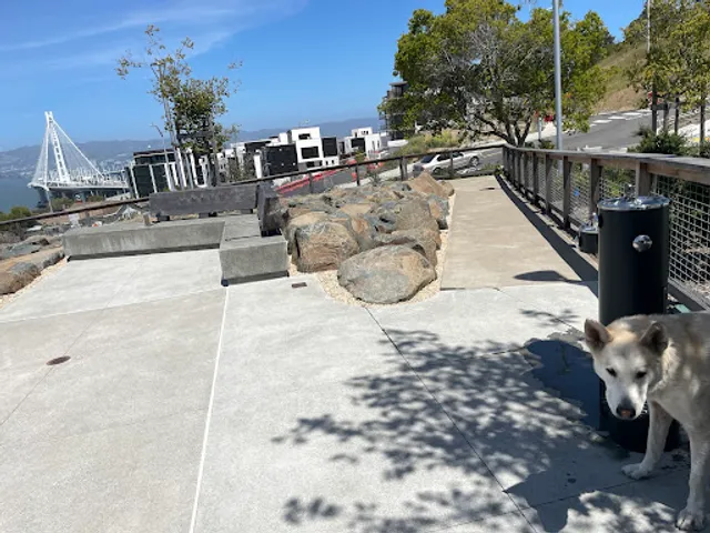 The Rocks Dog Park Yerba Buena Island