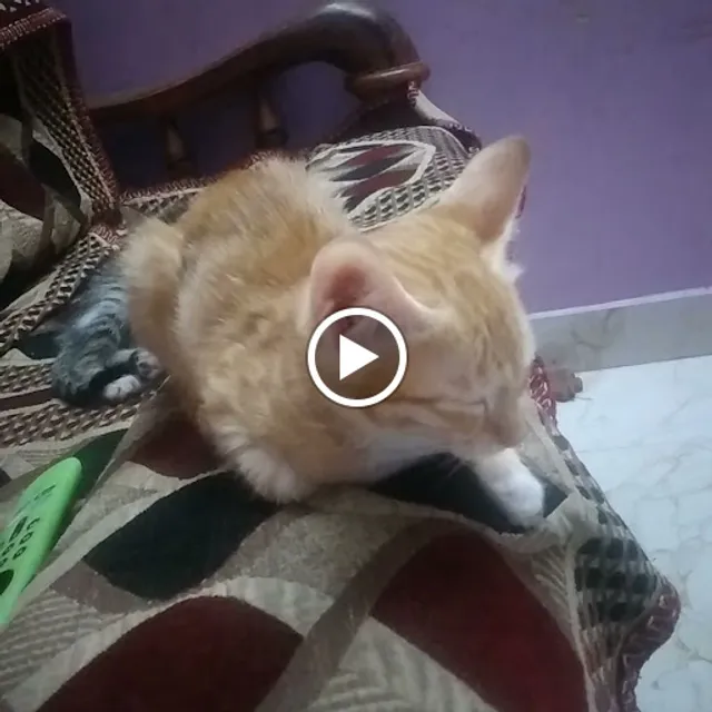 Samosa Party Bagmane CV Raman Nagar