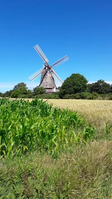 Apartments Oldsum auf Föhr - Haus 94