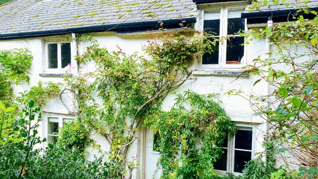 Tracebridge Cottage Bed and Breakfast