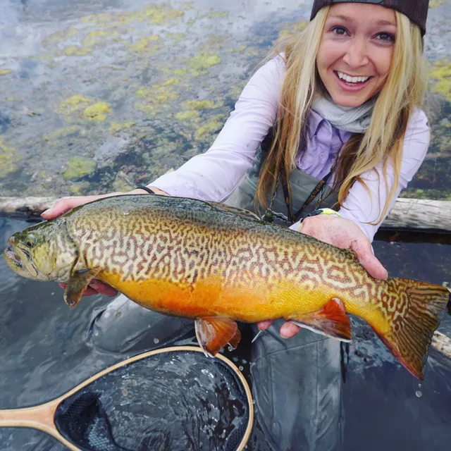 Chunky Trout Outfitters