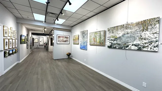 YM Art Gallery & Art Gala Inc