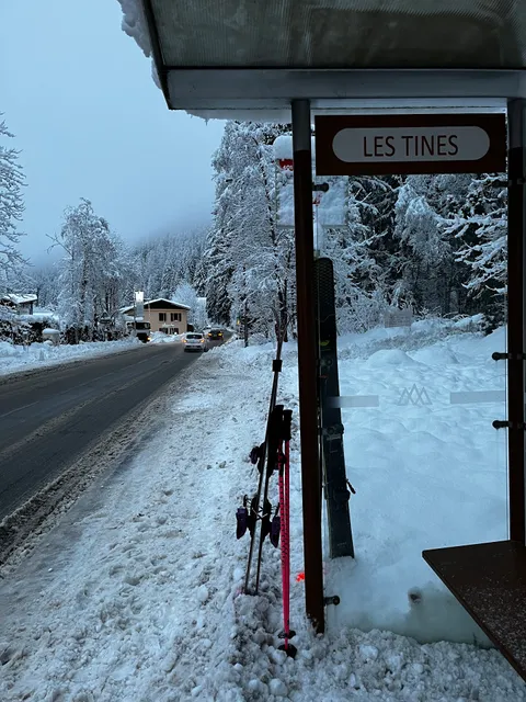Ski hire Chamonix-Argentière Grand Montets Sports
