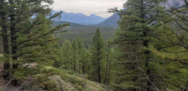 Tunnel Mountain Trail Head
