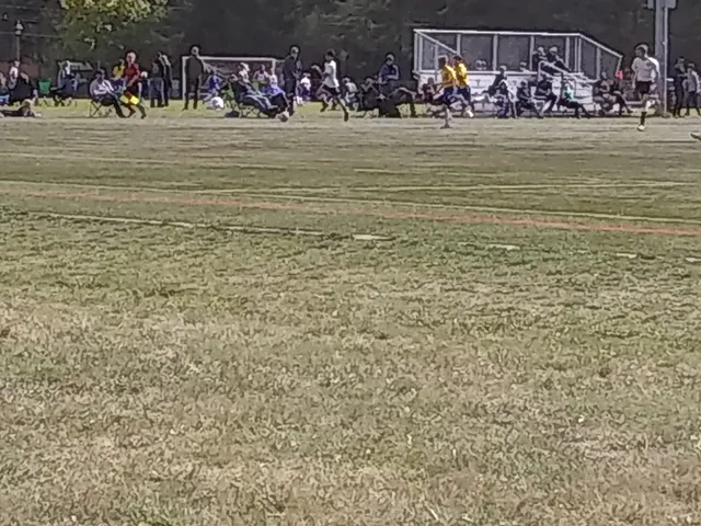 Strawberry Community Fields