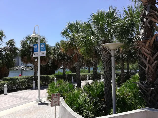 Tampa Riverwalk East End