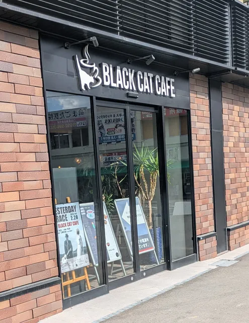 BLACK CAT CAFE