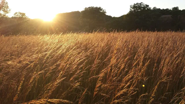 Maplewood State Park