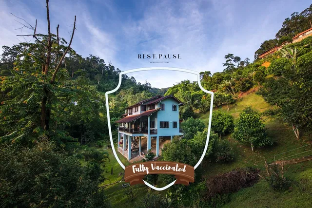 Rest. Pause. Rainforest Retreat