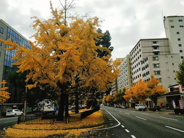 Horikawa Seseragi No. 1 Park