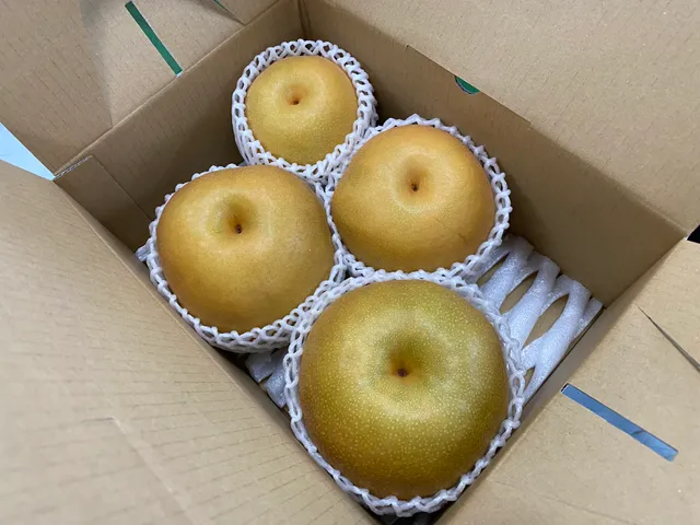 豊実園 あくつ梨園