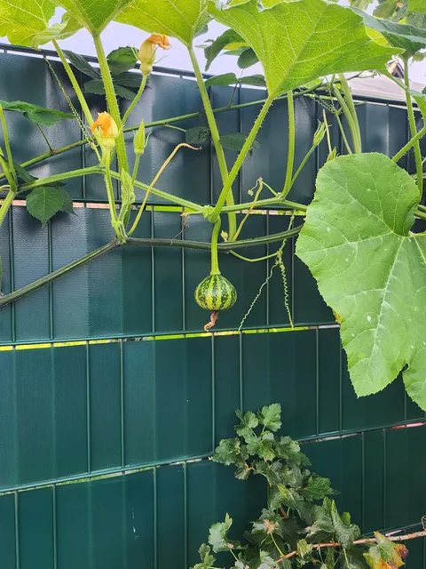 Moderne Wohnung Messe Uni Stadion
