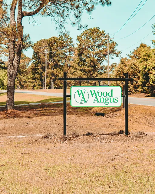 Wood Angus Farms