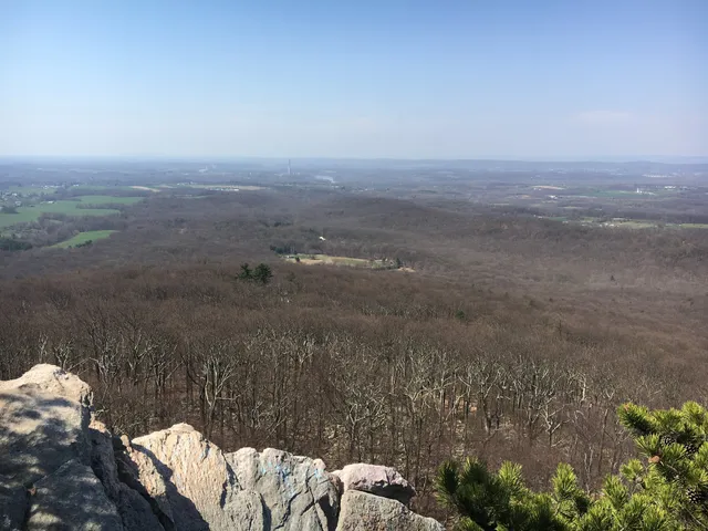 Catoctin Mountain