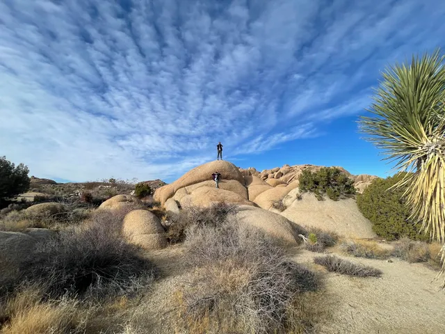 Joshua Tree Gateway (Section 33)