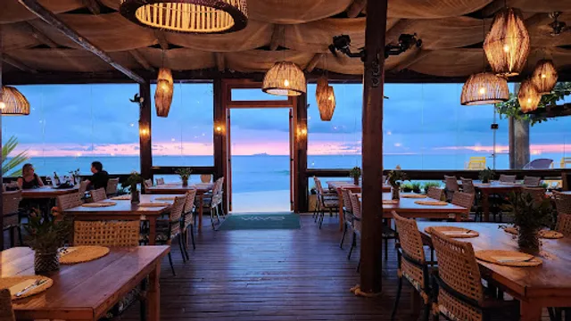 GAYA - Gastronomia & Arte