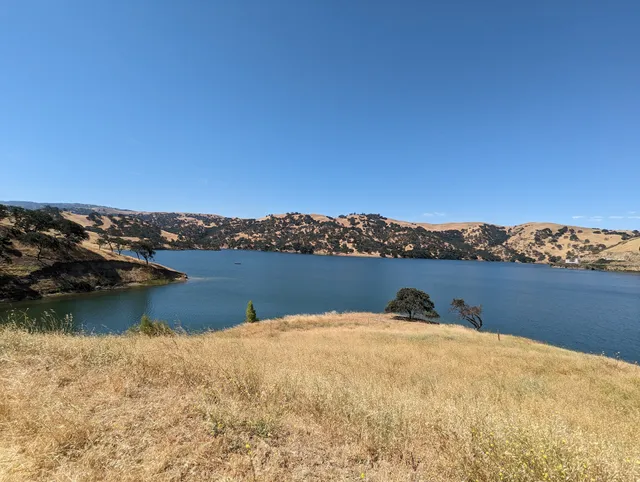 Del Valle bench under an Oak tree