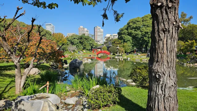 Lago Jardín Japonés