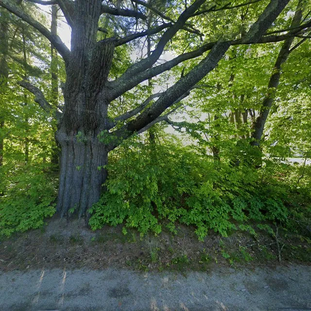 Annabessacook Farm B & B