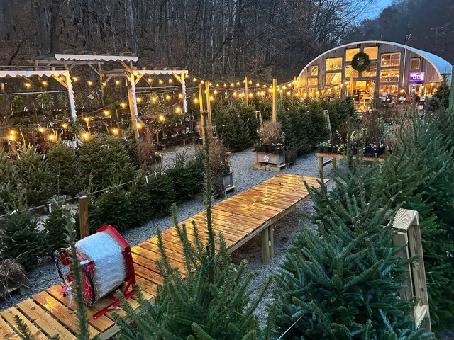 Wonder Gift & Garden