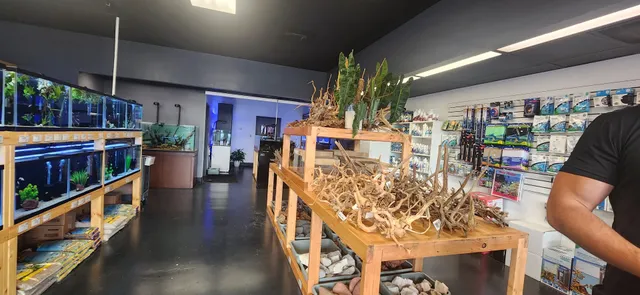 Ozark Aquarium Design