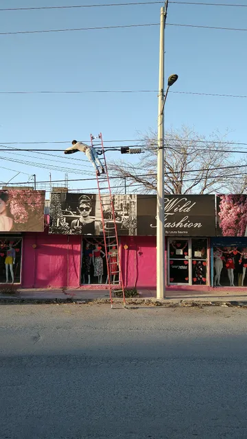 Wild Fashion Boutique