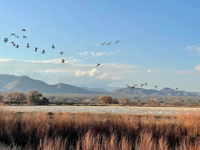 Bosque del Apache National Wildlife Refuge