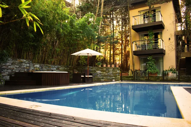 Sounds of the forest