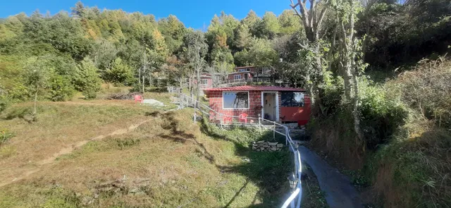 The Green Leaf Himalyan Homestay