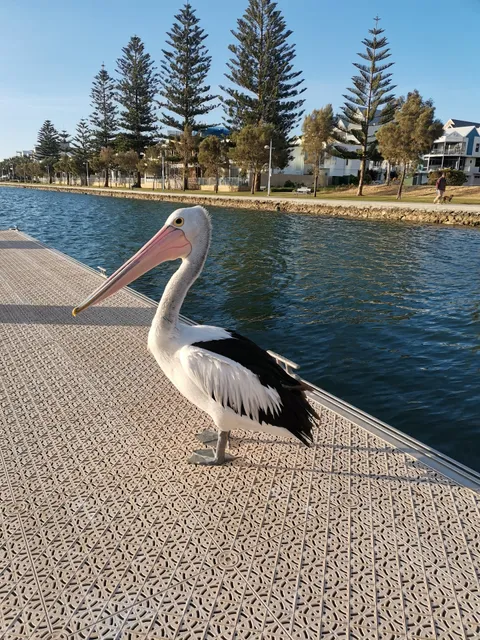 Little Mermaid Beach at Stingray Point