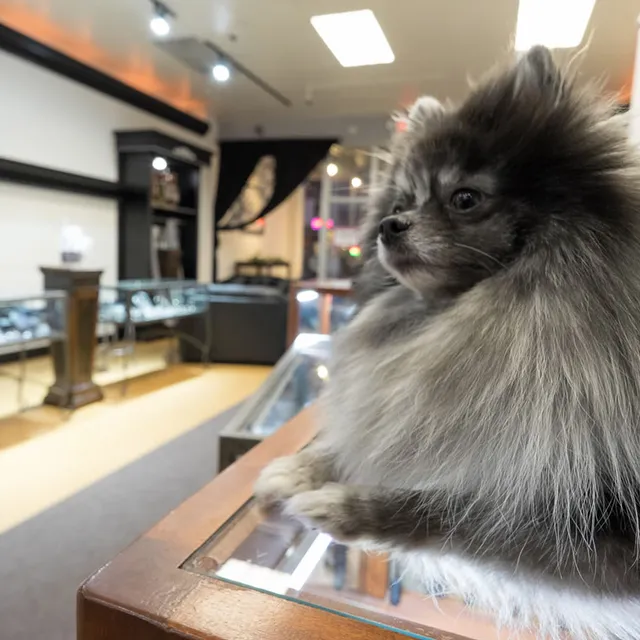 Fagan Diamond Jewelers